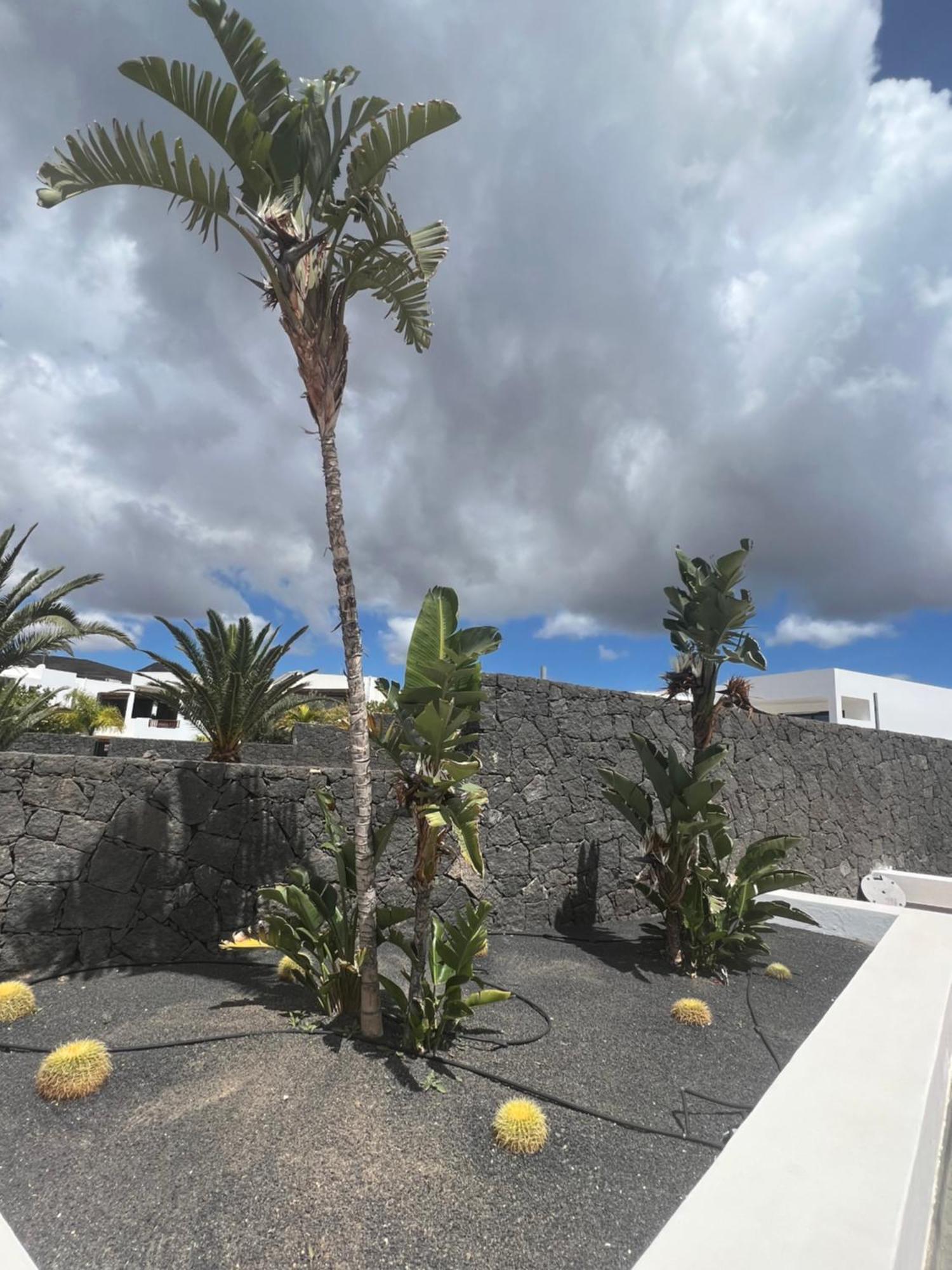 Villa Dedalos - A Luxury Large Villa With A Heated Pool In Puerto Calero Eksteriør billede